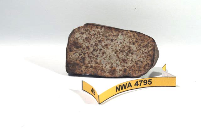 nwa4795a.jpg