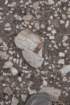 a_0407_small.jpg