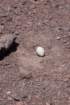 a_0688_small.jpg