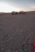 a_0954_small.jpg